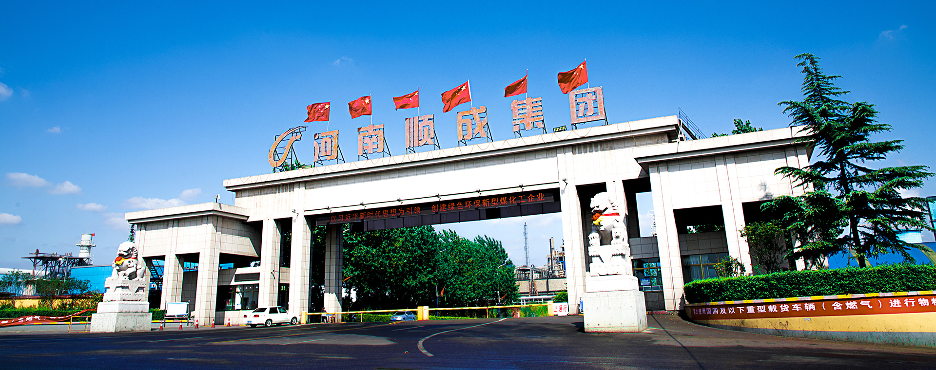 美丽贝斯特