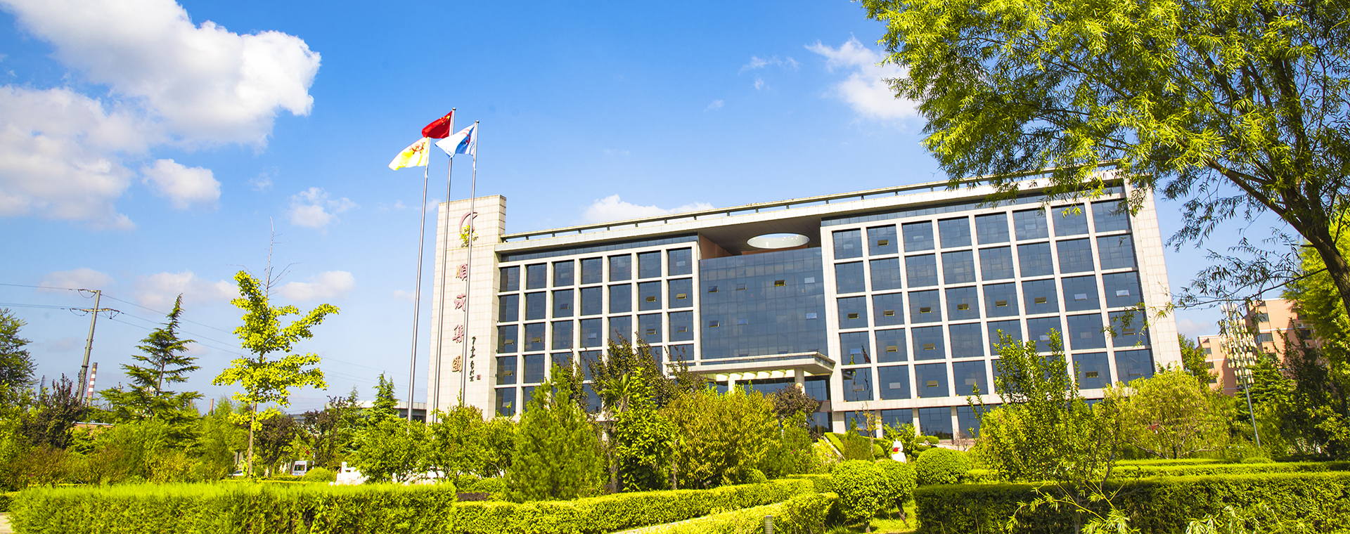美丽贝斯特